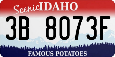 ID license plate 3B8073F