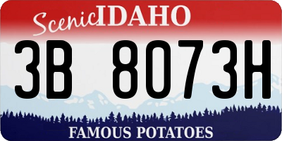 ID license plate 3B8073H