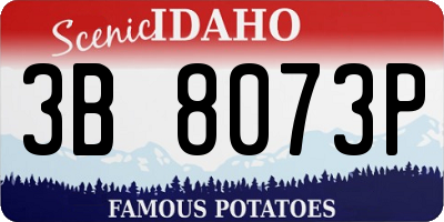ID license plate 3B8073P