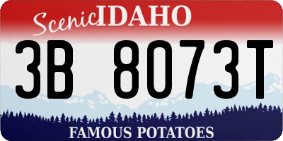 ID license plate 3B8073T