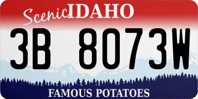 ID license plate 3B8073W