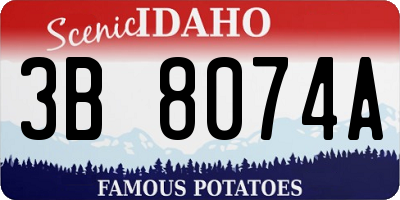 ID license plate 3B8074A