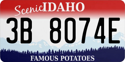 ID license plate 3B8074E