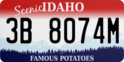 ID license plate 3B8074M