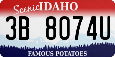 ID license plate 3B8074U