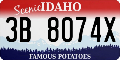 ID license plate 3B8074X