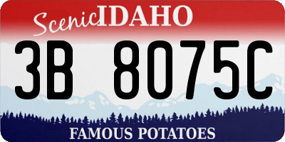 ID license plate 3B8075C