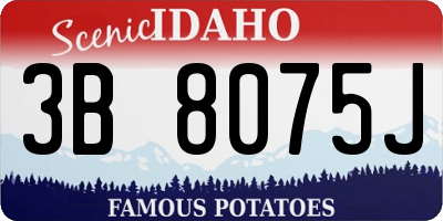 ID license plate 3B8075J