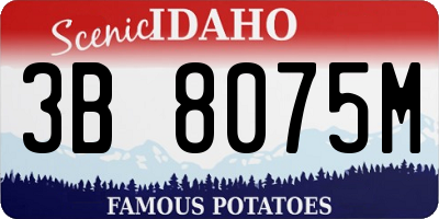 ID license plate 3B8075M