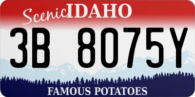 ID license plate 3B8075Y