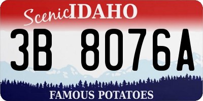 ID license plate 3B8076A