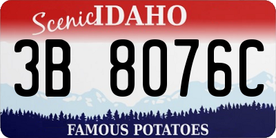 ID license plate 3B8076C