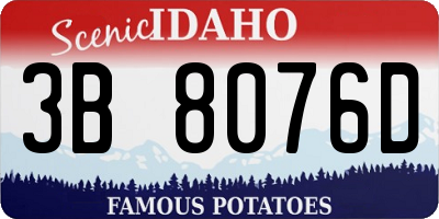 ID license plate 3B8076D