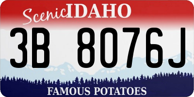 ID license plate 3B8076J