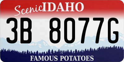 ID license plate 3B8077G