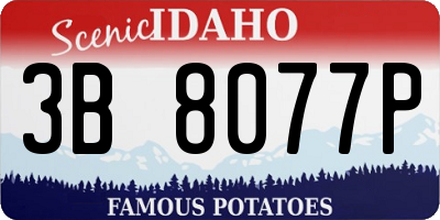 ID license plate 3B8077P