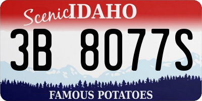 ID license plate 3B8077S