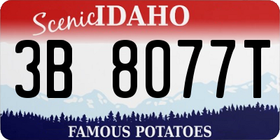 ID license plate 3B8077T