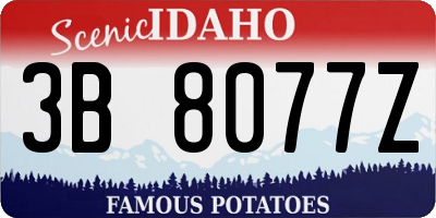 ID license plate 3B8077Z