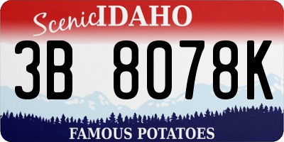 ID license plate 3B8078K