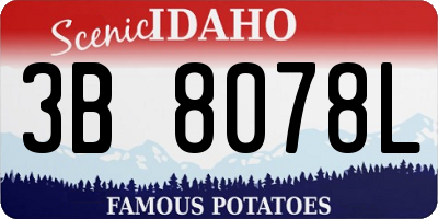 ID license plate 3B8078L