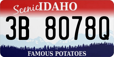 ID license plate 3B8078Q