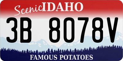 ID license plate 3B8078V