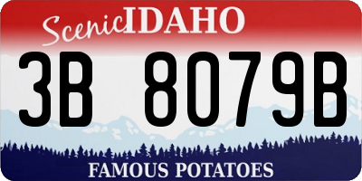 ID license plate 3B8079B