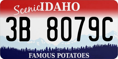 ID license plate 3B8079C