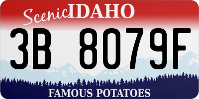 ID license plate 3B8079F