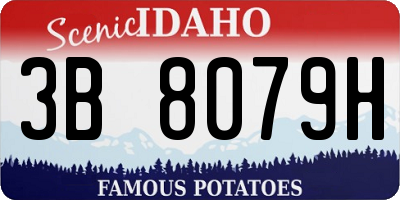 ID license plate 3B8079H