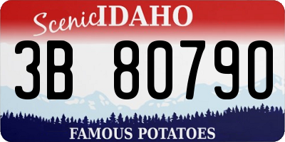 ID license plate 3B8079O