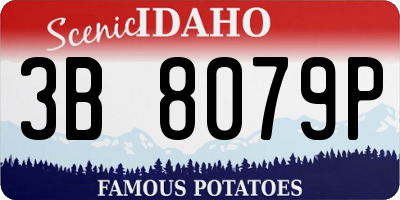 ID license plate 3B8079P