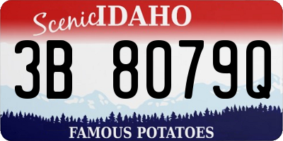 ID license plate 3B8079Q