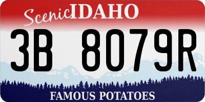 ID license plate 3B8079R