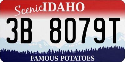 ID license plate 3B8079T