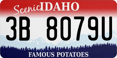 ID license plate 3B8079U