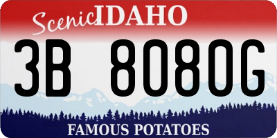 ID license plate 3B8080G
