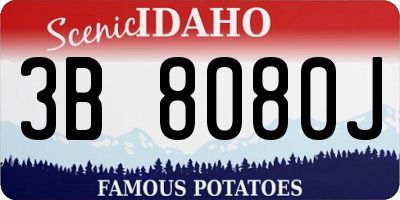 ID license plate 3B8080J