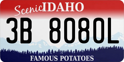 ID license plate 3B8080L