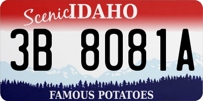 ID license plate 3B8081A