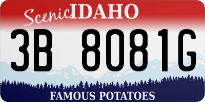 ID license plate 3B8081G