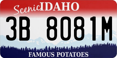 ID license plate 3B8081M