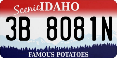 ID license plate 3B8081N