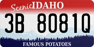 ID license plate 3B8081Q