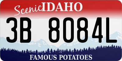 ID license plate 3B8084L