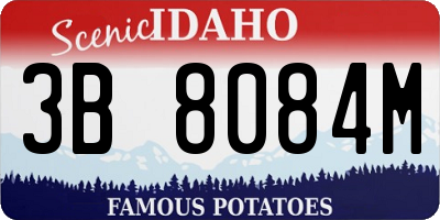 ID license plate 3B8084M