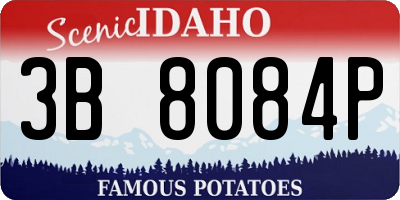ID license plate 3B8084P