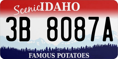 ID license plate 3B8087A