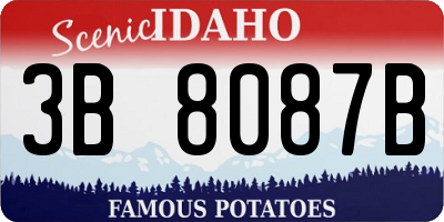 ID license plate 3B8087B